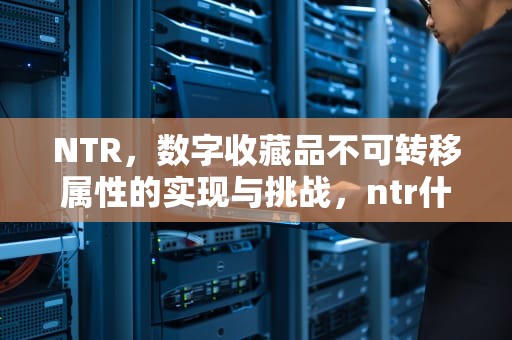 NTR，数字收藏品不可转移属性的实现与挑战，ntr什么缩写
