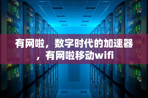 有网啦，数字时代的加速器，有网啦移动wifi