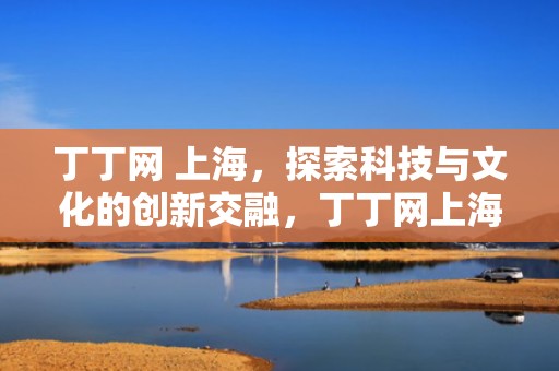 丁丁网 上海，探索科技与文化的创新交融，丁丁网上海公交换乘查询