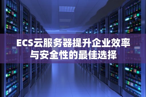 ECS云服务器提升企业效率与安全性的最佳选择