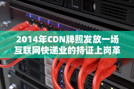 2014年CDN牌照发放一场互联网快递业的持证上岗革命？