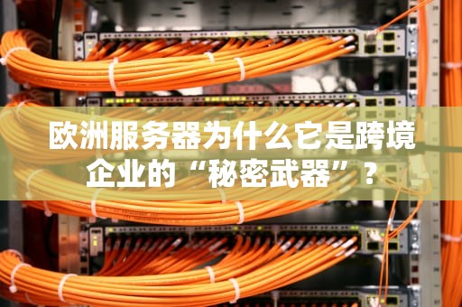 欧洲服务器为什么它是跨境企业的“秘密武器”？