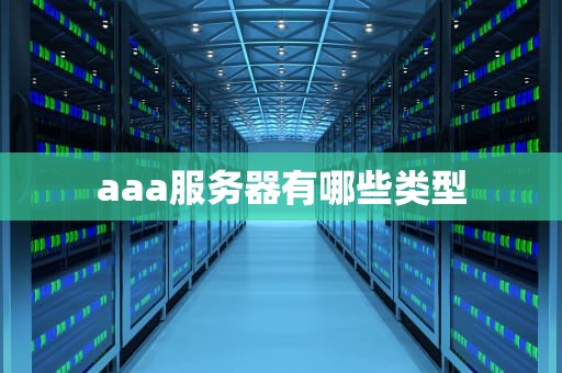 aaa服务器有哪些类型