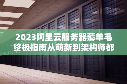 2023阿里云服务器薅羊毛终极指南从萌新到架构师都该知道的省钱密码