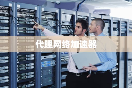 代理网络加速器