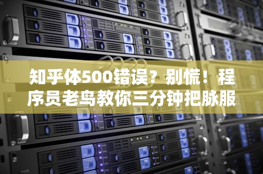 知乎体500错误？别慌！程序员老鸟教你三分钟把脉服务器的正确姿势