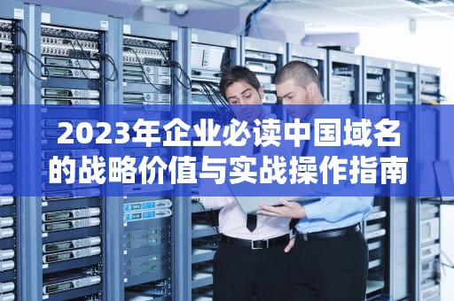 2023年企业必读中国域名的战略价值与实战操作指南