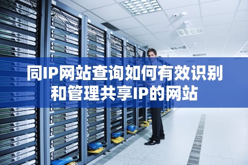 同IP网站查询如何有效识别和管理共享IP的网站