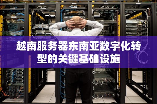 越南服务器东南亚数字化转型的关键基础设施