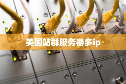 美国站群服务器多ip