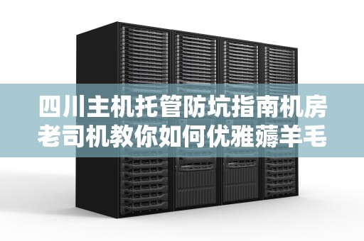 四川主机托管防坑指南机房老司机教你如何优雅薅羊毛