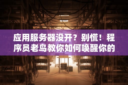 应用服务器没开？别慌！程序员老鸟教你如何唤醒你的服务端小可爱