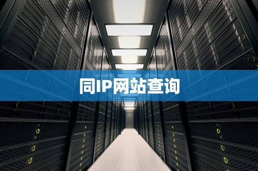 同IP网站查询