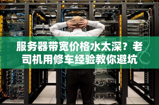 服务器带宽价格水太深？老司机用修车经验教你避坑