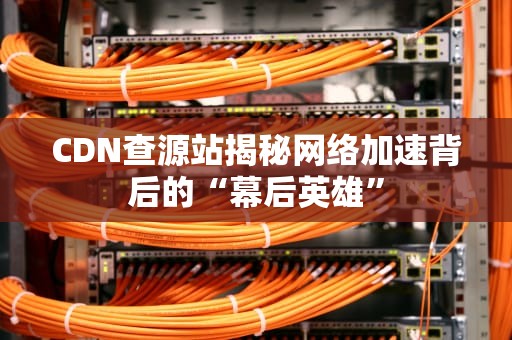 CDN查源站揭秘网络加速背后的“幕后英雄”
