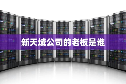新天域公司的老板是谁