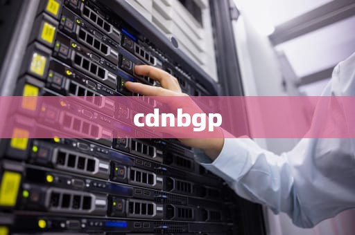 cdnbgp