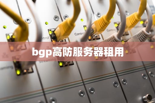 bgp高防服务器租用