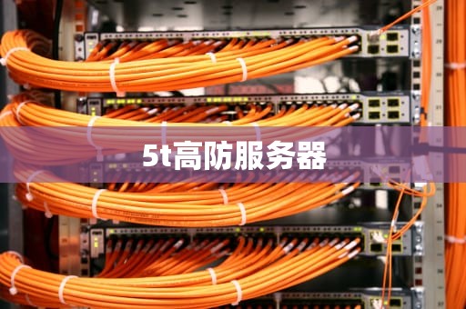 5t高防服务器