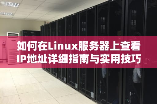 如何在Linux服务器上查看IP地址详细指南与实用技巧