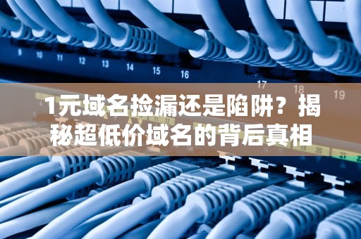 1元域名捡漏还是陷阱？揭秘超低价域名的背后真相