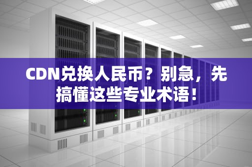 CDN兑换人民币？别急，先搞懂这些专业术语！
