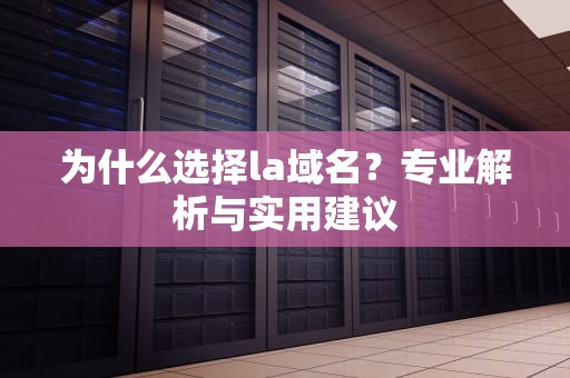 为什么选择la域名？专业解析与实用建议