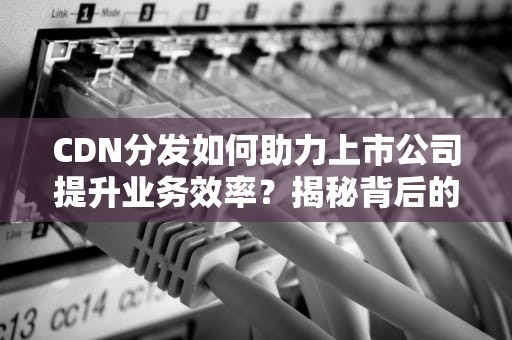 CDN分发如何助力上市公司提升业务效率？揭秘背后的技术奥秘！