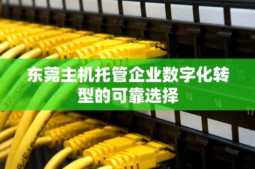 东莞主机托管企业数字化转型的可靠选择