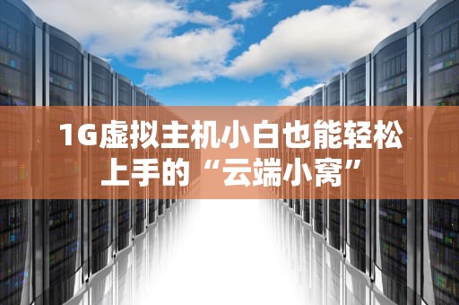 1G虚拟主机小白也能轻松上手的“云端小窝”