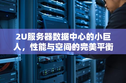 2U服务器数据中心的小巨人，性能与空间的完美平衡