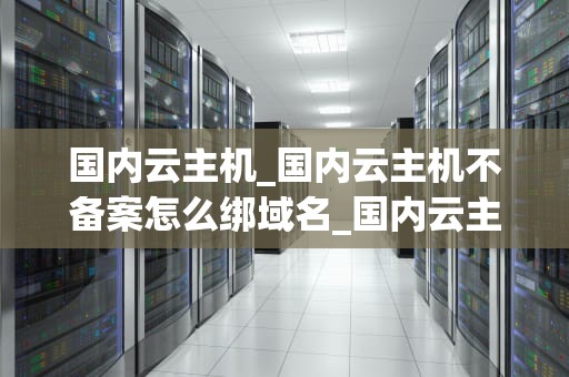 国内云主机_国内云主机不备案怎么绑域名_国内云主机的发展趋势与应用