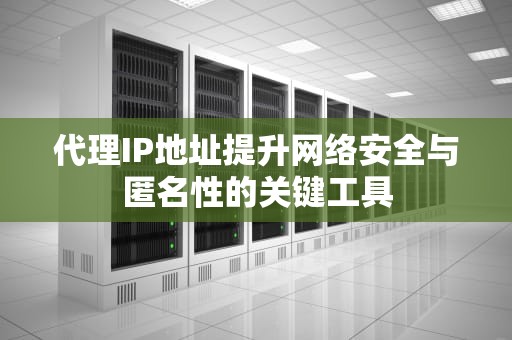 代理IP地址提升网络安全与匿名性的关键工具