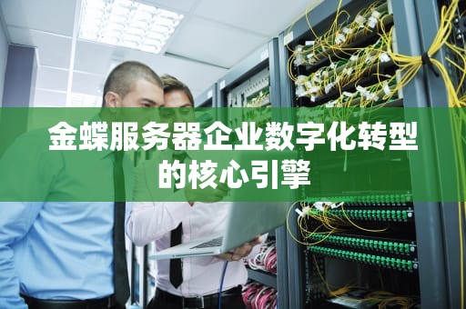 金蝶服务器企业数字化转型的核心引擎