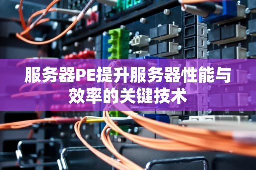 服务器PE提升服务器性能与效率的关键技术