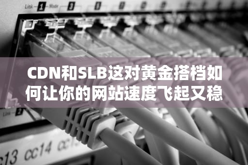 CDN和SLB这对黄金搭档如何让你的网站速度飞起又稳如老狗？