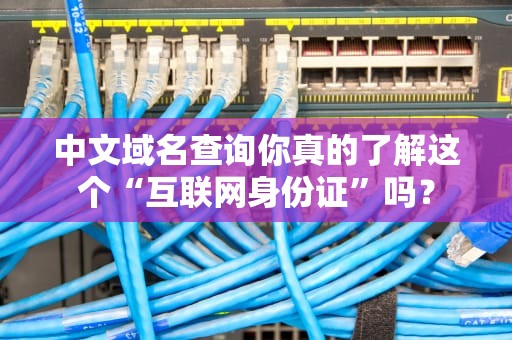 中文域名查询你真的了解这个“互联网身份证”吗？