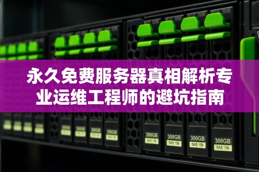 永久免费服务器真相解析专业运维工程师的避坑指南