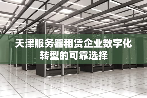 天津服务器租赁企业数字化转型的可靠选择