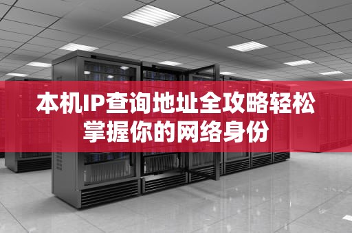 本机IP查询地址全攻略轻松掌握你的网络身份