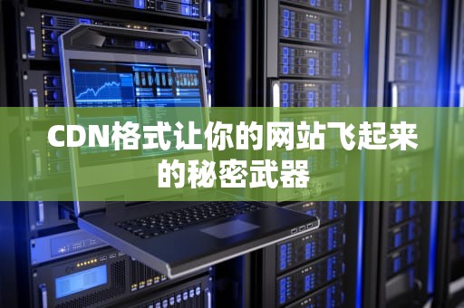 CDN格式让你的网站飞起来的秘密武器