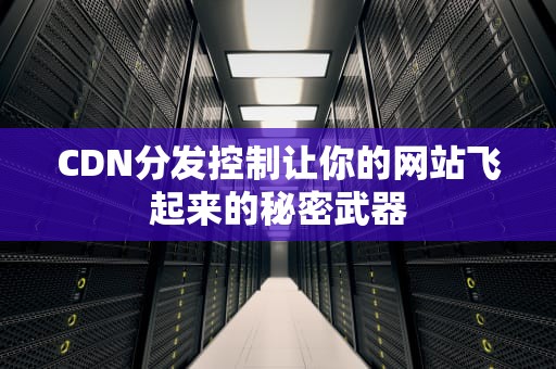 CDN分发控制让你的网站飞起来的秘密武器