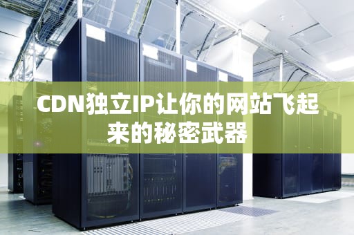 CDN独立IP让你的网站飞起来的秘密武器