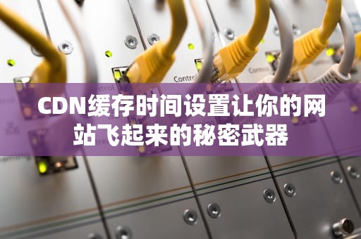 CDN缓存时间设置让你的网站飞起来的秘密武器