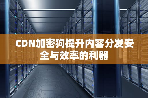 CDN加密狗提升内容分发安全与效率的利器