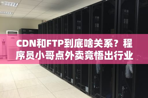 CDN和FTP到底啥关系？程序员小哥点外卖竟悟出行业真相！