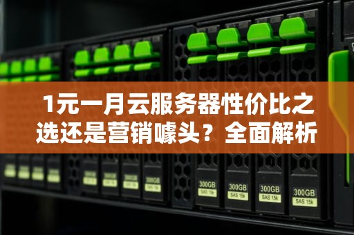 1元一月云服务器性价比之选还是营销噱头？全面解析与实用建议