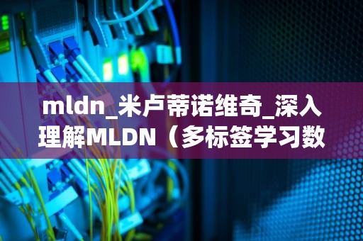 mldn_米卢蒂诺维奇_深入理解MLDN（多标签学习数据网络）