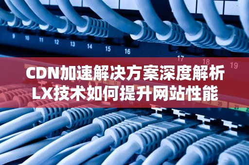 CDN加速解决方案深度解析LX技术如何提升网站性能与用户体验