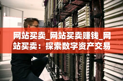 网站买卖_网站买卖赚钱_网站买卖：探索数字资产交易的新领域
